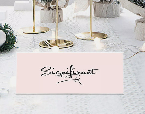 Name Plates for Desk Retail 11" x 4 3/8" Tent Name Sign Holder Stand ClearY11R10
