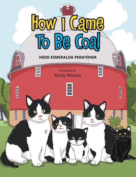 How I Came To Be Coal Heidi Esmeralda Peratoner Taschenbuch Englisch 2013-image