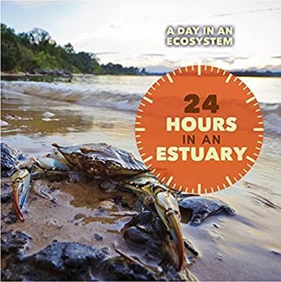 24 Hours in an Estuary Hardcover Laura Sullivan