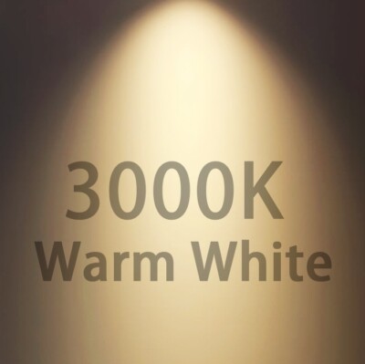 12-Pack GU10 LED Bulbs Dimmable ,600LM 6W Spot Light 5000K/3000K Daylight White