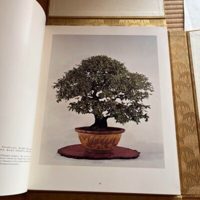 皇居の盆栽 THE IMPERIAL BONSAI OF JAPAN Book – The Imperial Bonsai of Japan – Vintage 1976 – Rare