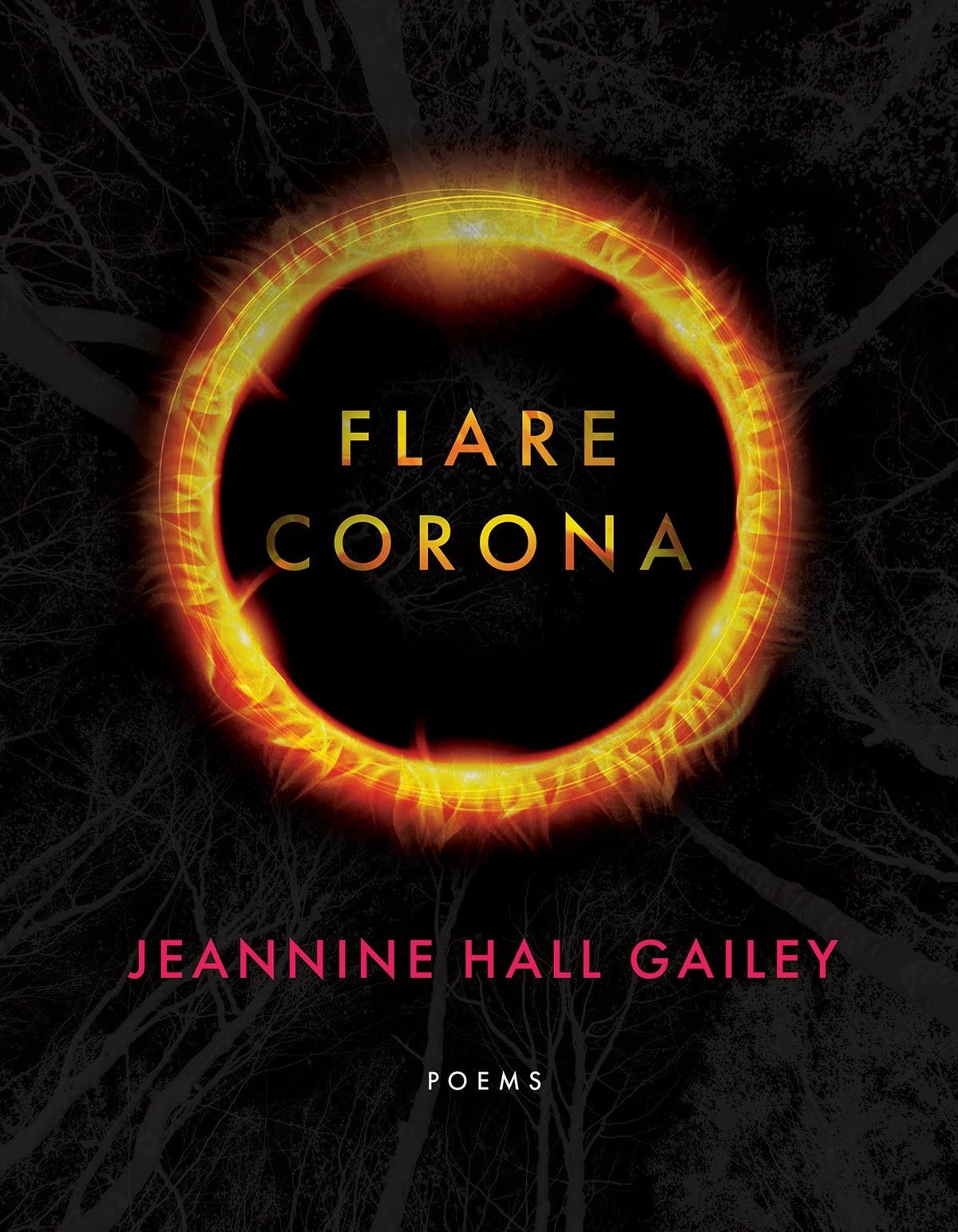 Flare, Corona: 201 (American Poets Continuum Series, 201).by Gailey New** - Image 6