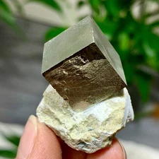 51G  Natural Raw Atone Spanish Pyrete Cubic crystal quartz mineral sample