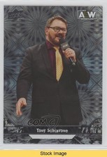 2023 Upper Deck AEW All Elite Wrestling Crew Pyro Tony Schiavone #89 READ m4n