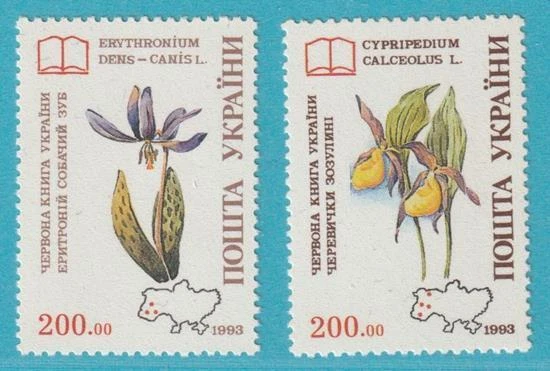 Ukraine 1994 ** postfrisch MiNr. 113-114 Ochideen - Bild 1 von 1
