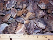 Botswana agate 1 to 2.75 inch 1 pound lots free shipping