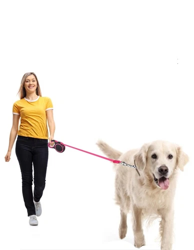 Retractable Pet Dog Lead Extendable Training Leash Pet Collar Leads Tape 8m NEW - Bild 13 von 18