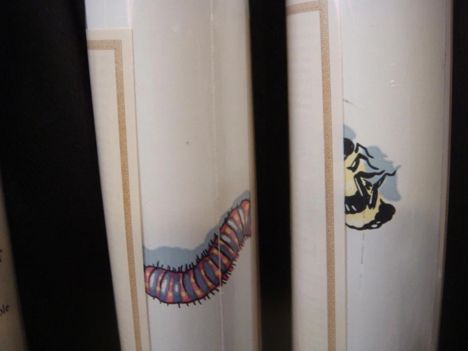 Papel pintado York 3 rollos insectos blanco BS7715 saltamontes escarabajo mariposa Foto 4 de 4