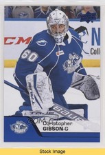 2020-21 Upper Deck AHL Blue Christopher Gibson #111 READ 0l1o