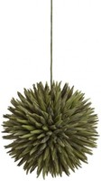 Europalms Sukkulenten Kugel (Eva), GrüN, 16Cm