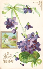 Postcard Vintage  Birthday Greetings Violet Flowers Embossed