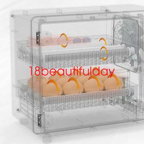 24 Eggs Incubator Machine Automatic Egg Hatcher for Chicken Quail Pigeon Duck - Picture 6 of 18