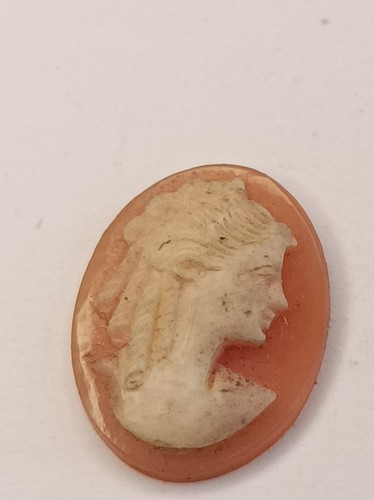 Camée Ancien Sculpté à La Main - Pièce Unique D'occasion, Idéal Pour Les Collectionneurs Ou Un Cadeau Original !