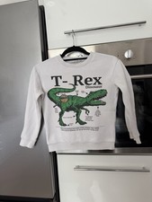 H&M Kinder Sweatshirt T-Rex Dinosaurier Gr. 1...