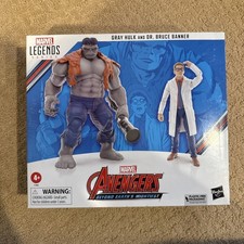 Marvel Legends Avengers 6  Figure 2-pack Gray Hulk & Dr Bruce Banner New Hasbro