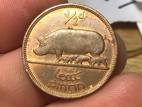 1966 IRELAND 1/2 penny, Good Luck, Irish, Harp, Sow with piglets, 1 Coin - Picture 6 of 20
