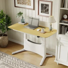 Electric Adjustable Standing Desk – 48 X 28 Inch Sit Stand Desk with Drawer & Ca