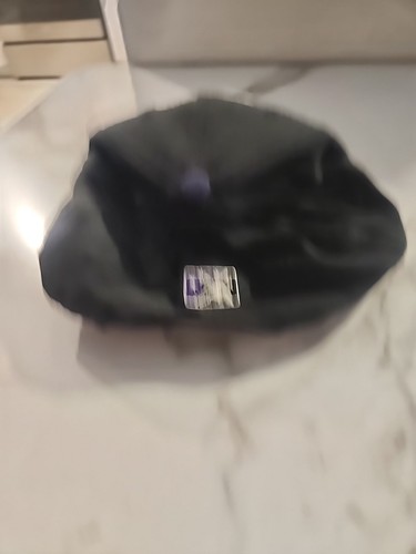 Vintage Lancaster Jethawks Snapback Hat Cap Minor League Purple Black MiLB Y2K - Picture 6 of 13