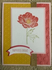 Floral essence birthday best wishes happiness card kit of 6 made w/ Stampin' Up