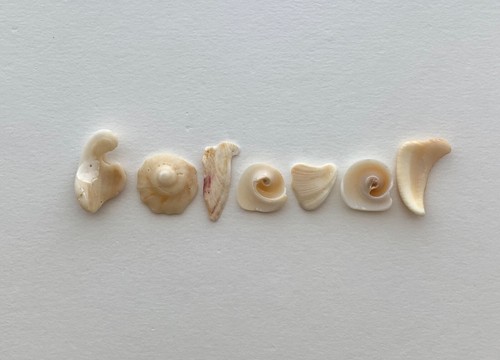 Natural Letter Shaped FOREVER beach shell fragment seashell craft pebble art US - Picture 11 of 11