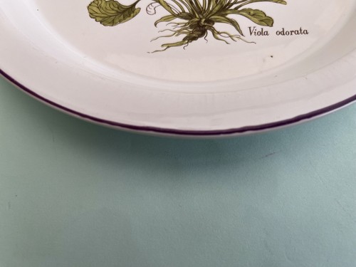 VINTAGE ULSTER CERAMICS PLATE VIOLA ODORATA - GREAT CONDITION - Picture 3 of 5