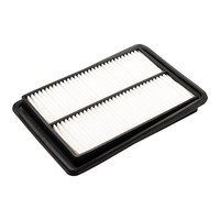 Castrol Filters Luftfilter U.A. FüR Nissan, Renault
