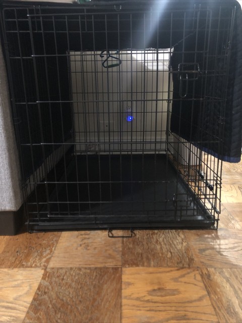 used large dog crate