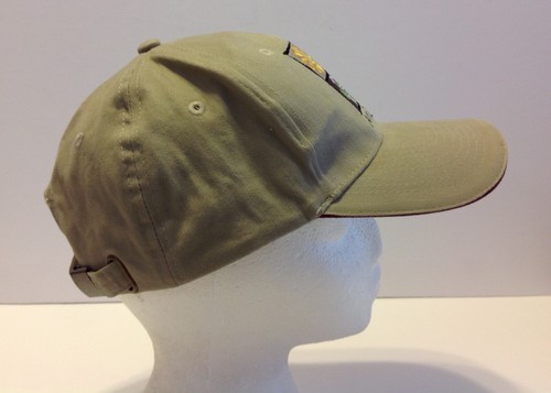 VTG Arizona Tourist Souviner Strapback Hat Beige Kokopeli Gecko Embroidered - Picture 5 of 8