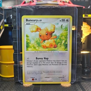 Buneary Pokemon Card