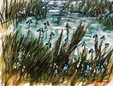 Irises, Pond Edge