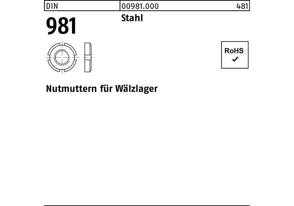 Измельчитель орехов Reyher DIN 981 KM 0 М 10x0,75 Stahl