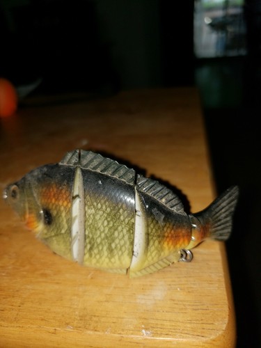 Blue Gill Angelköder für Großmaulbarsch, Striper usw. 4" lang, 2" breit - Bild 4 von 4