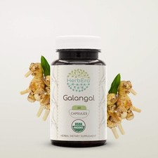 HerbEra Galangal 60/120 Capsules, 500 mg, Organic Galangal Alpinia Galangal 