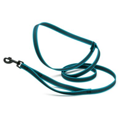Dogline Rubber Infused Nylon Walking Leash W3/4'' x L8' - Teal