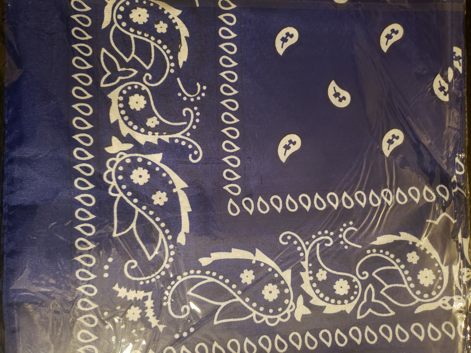 Picture 6 of 12