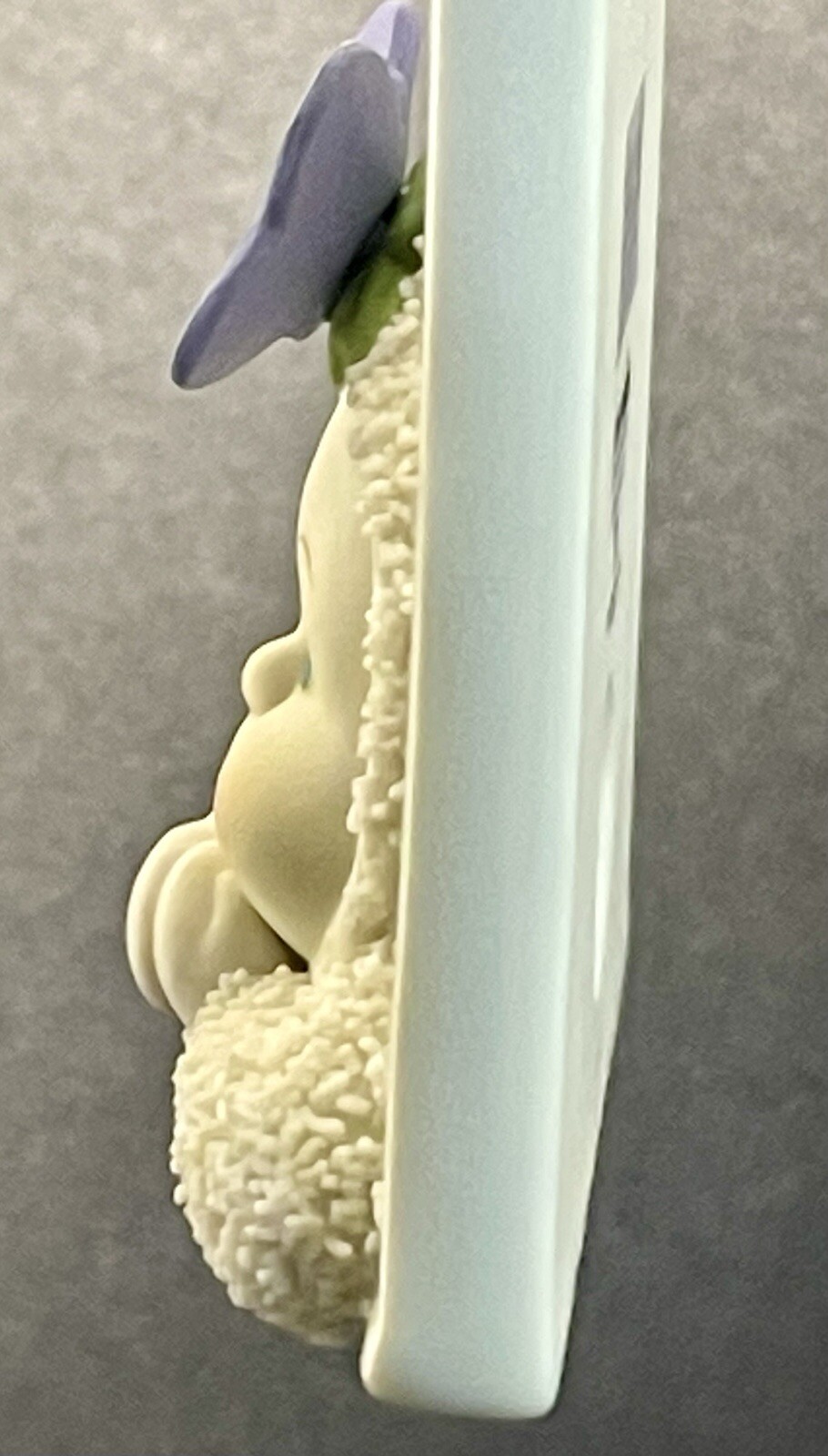 Picture 6 of 12