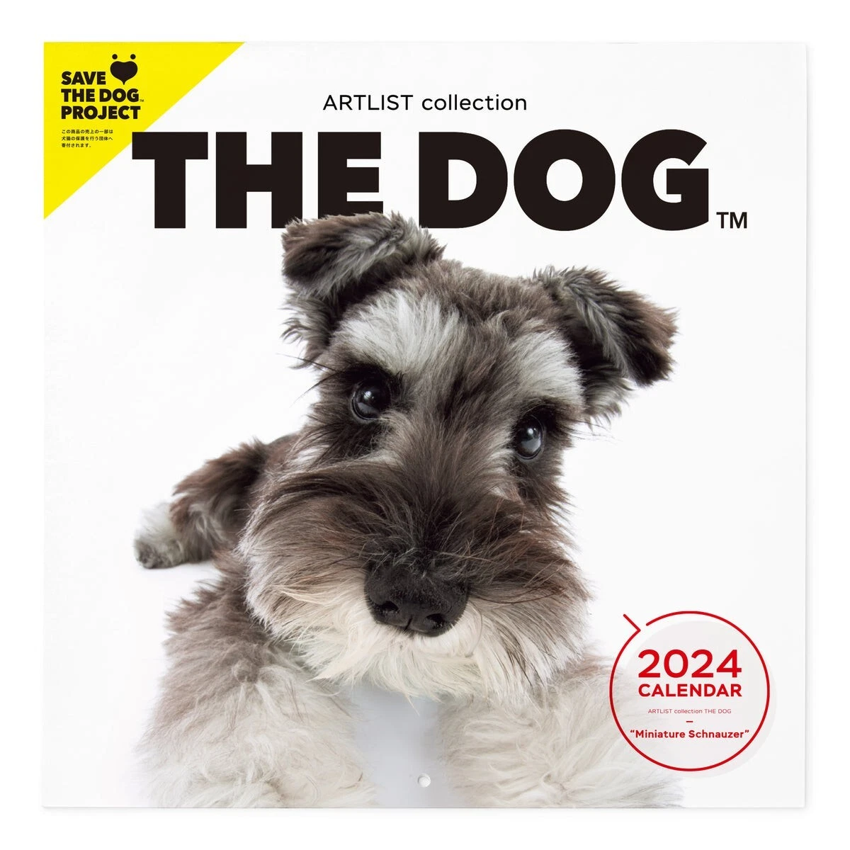 Large miniature cheap schnauzer
