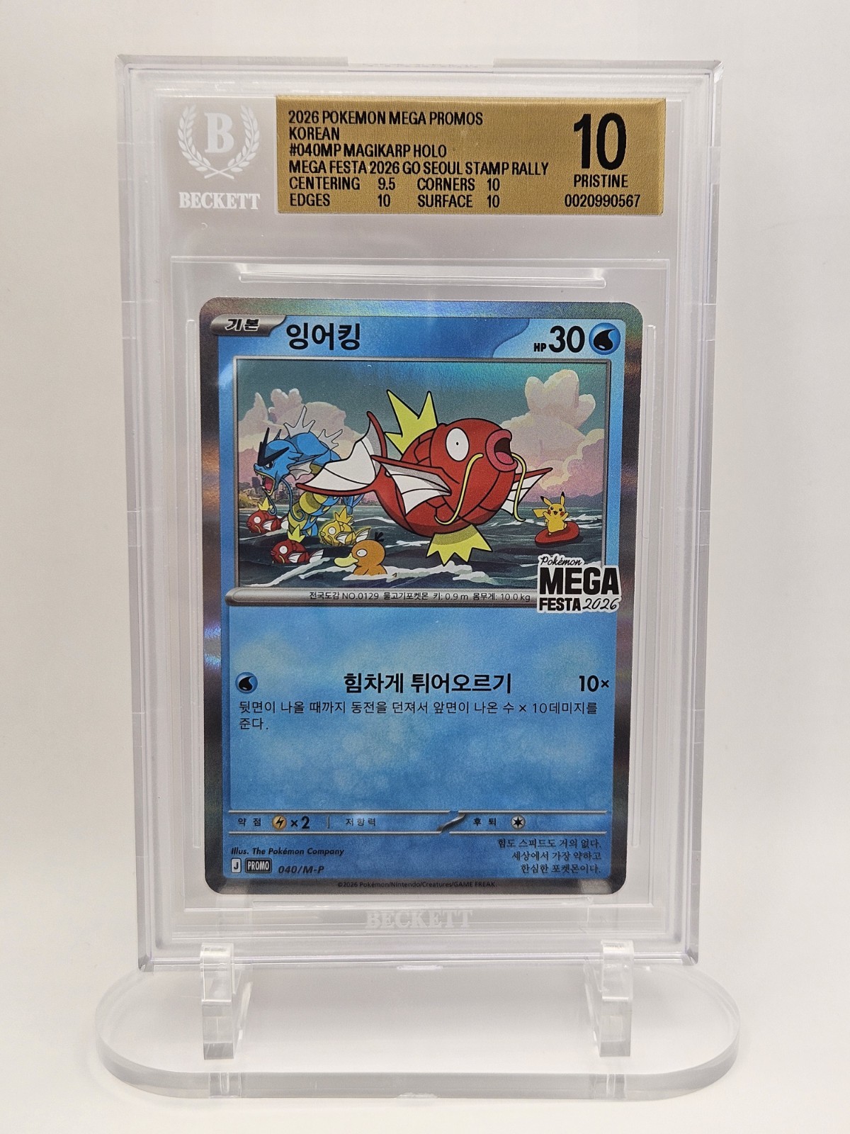 BGS 10 Pristine Magikarp 040/M-P Pokemon MEGA FESTA 2026 Korean Promo view 2