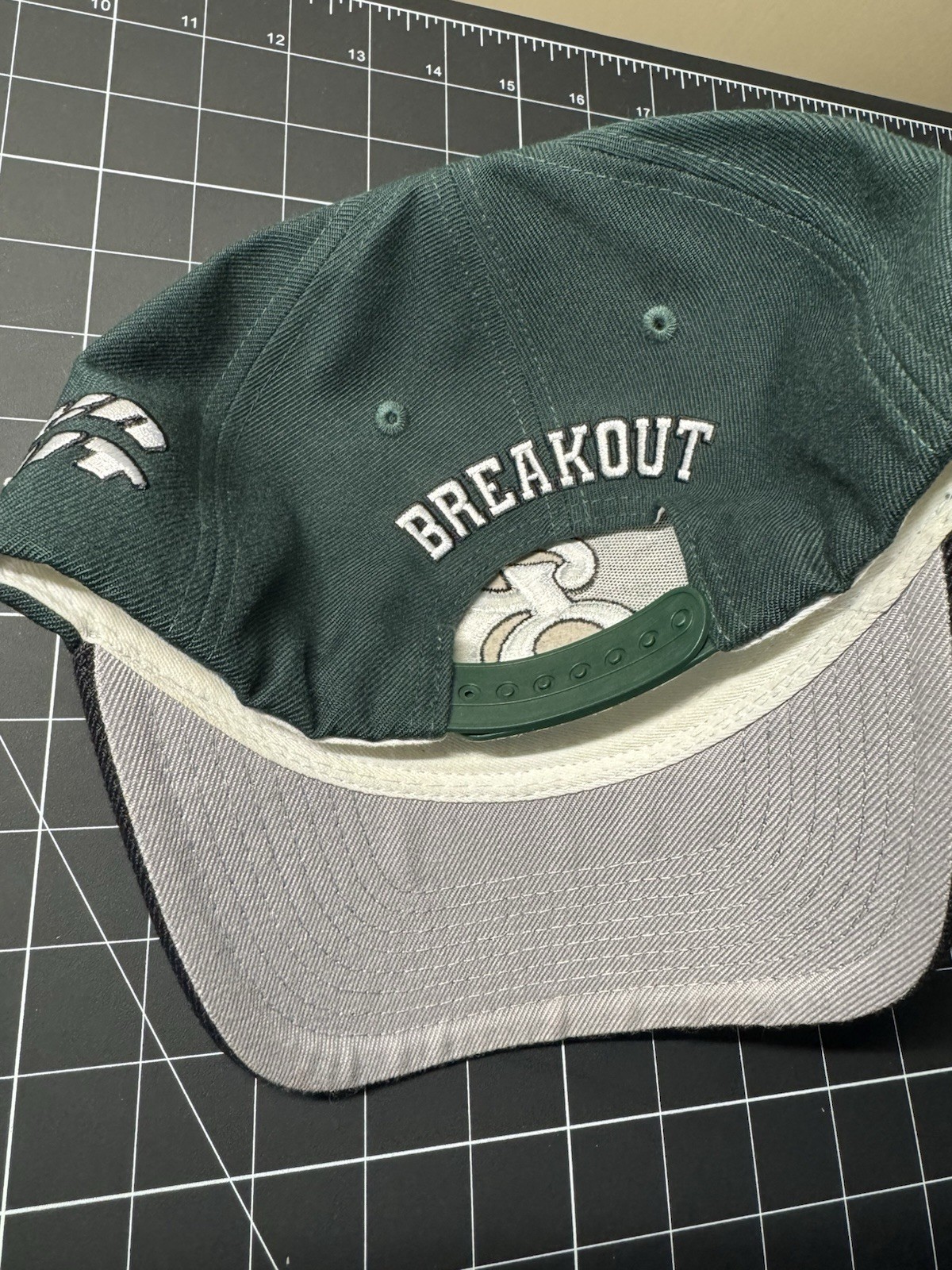 Picture 4 of 5