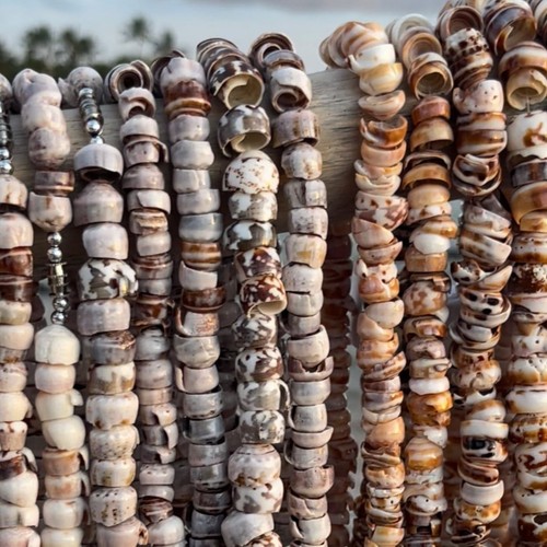 Hawaiian Store Natural Cone Puka Shell Choker Necklace (Choose size and shade) - Picture 5 of 12