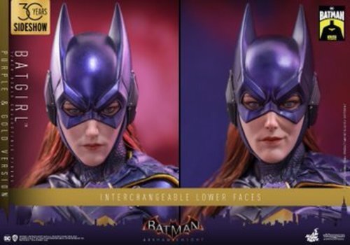Hot Toys 1/6 Scale Figures Batman Arkham Knight Batgirl