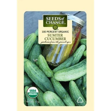 Sumter Cucumber
