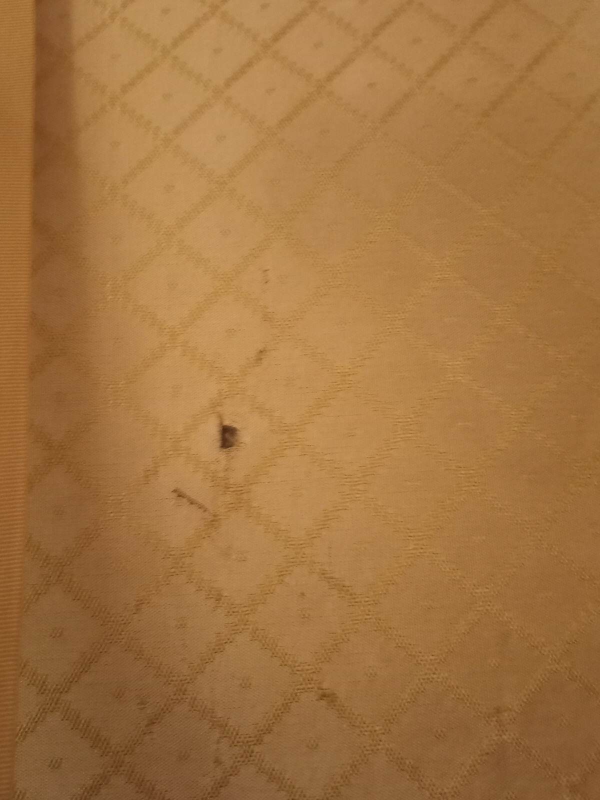 Picture 8 of 10