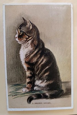 Mac Cat Postkarte, Brown Tabby, Nr. 2704