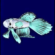 Swarovski Crystal "SIAMESE FIGHTING FISH"  Mint Condition- Original Box & Cert
