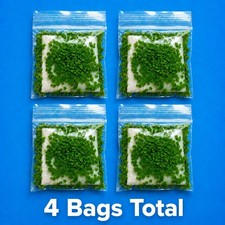 Live Aquarium Plants Floating Plant Duckweed Lemna Minor 4 Pack