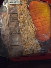 Fall Backdrop - Large