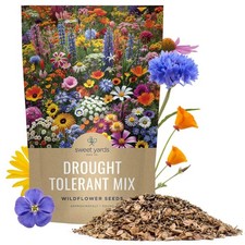 Wildflower Seeds Bulk 1 Pound Bag Drought Tolerant Dryland Open Pollinated 12000 137.32 per gallon