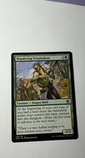 Wandering Troubadour Afr - 210