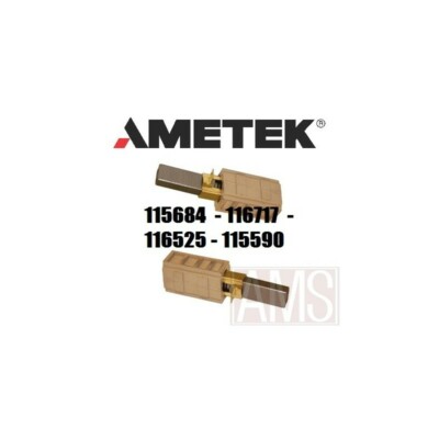 Charbons x 2 Ametek DUOVAC 3220 Ametek  | eBay